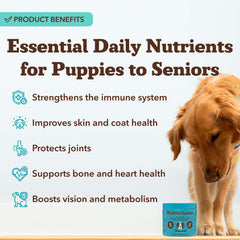 Natural Dog Company 25-in-1 soft-chews adult bottle close-up for daily energy.