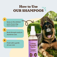 Natural Dog Company Calming Lavender Spritz on a dog being spritzed for a refreshing scent.