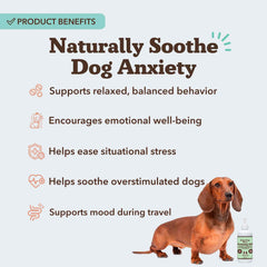 Natural Dog Company Calming Oil bottle pour enables easy dosing during travel.