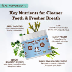Natural Dog Company dental powder used for improving dog breath in close-up.