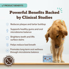 Natural Dog Company dental powder near dog teeth close-up highlights fresh breath potential.