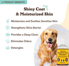 Natural Dog Company Oatmeal Shampoo lather shows gentle cleansing and coconut oil hydration.