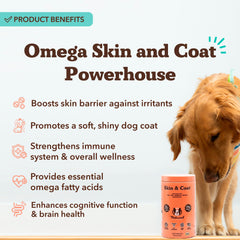 Natural Dog Company omega-3 salmon oil bottle with dropper promotes a nourished coat