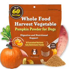 Natural Dog Company Pumpkin Digestive Granules packaging close-up highlighting gut-friendly nutrition.