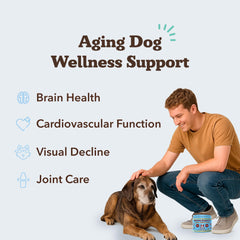 Natural Dog Company senior heart vitamin chew bottle promotes cardiovascular function and everyday vitality.