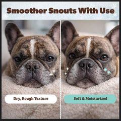 Natural Dog Company Snout Soother packaging showcases USA-made, portable design.