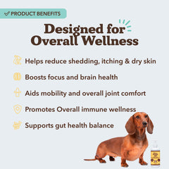 Natural Dog Company Ultra Omega Oil joints image suggests improved mobility during playtime