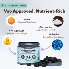 Closeup of Natural Dog Company Vet Strength chews to highlight easy daily dosing