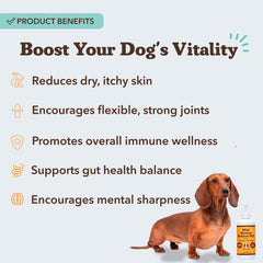 Natural Dog Company Wild Alaskan Salmon Oil meal topper boosts flavor and omega-3 intake