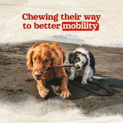 Natural Farm collagen dog chews dental benefits - supports clean teeth.