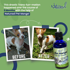 Naturasil mixed-dip setup shows bath-time preparation for effective application.