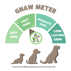 Nature Gnaws USA Turkey Tendons demonstrates long-lasting chew aiding dental hygiene.