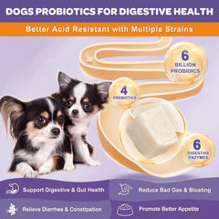 Nature Target Probiotics for Dogs – 6B CFUs close-up for robust probiotic power.