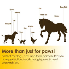 Natureland paw wax on a cat's paw nourishing soft pads.