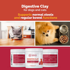 Nature's Pure Edge clay powder closeup reveals a fine texture ideal for easy mixing.