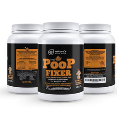 Nature's Pure Edge Poop Fixer pumpkin carrot powder for cats served in a cat bowl.