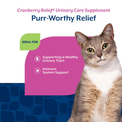 NaturVet Cranberry Relief Plus Echinacea cat with bowl shows daily use.
