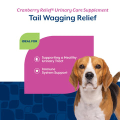 NaturVet Cranberry Relief Plus Echinacea label close-up displaying cranberry and echinacea ingredients for urinary and immune support.