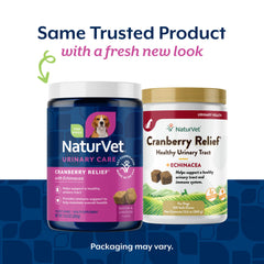 NaturVet Cranberry Relief Plus Echinacea soft chews arranged for urinary health