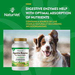 NaturVet ingredient panel spotlights natural enzymes and probiotics for digestion-friendly nutrition