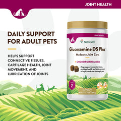 NaturVet Glucosamine DS Plus ingredients highlight glucosamine MSM and chondroitin