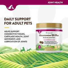 NaturVet Glucosamine DS Plus level 2 bottle on shelf supporting pet mobility