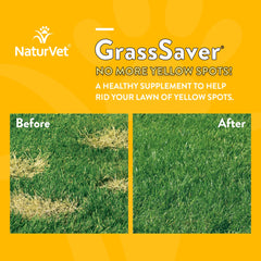 NaturVet GrassSaver lawn yellow spots before and after treatment show results.