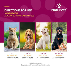 NaturVet Joint Health Level 3 soft-chew packaging display promoting pet wellness