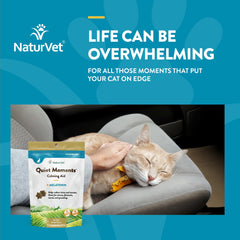 NaturVet Quiet Moments cat with bottle illustrating easy home calming routine