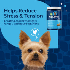NaturVet Quiet Moments label view highlights melatonin blend for calmer dogs.
