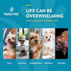 NaturVet Scoopables Hickory Smoked Bacon flavor showcases palatable treat for finicky eaters