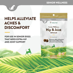 NaturVet Senior Wellness Hip & Joint Advanced Plus Omegas dog walking suggests improved mobility.