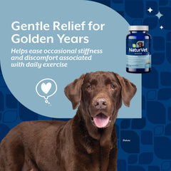 NaturVet Soreness Relief aids comfortable senior dog mobility during walks.