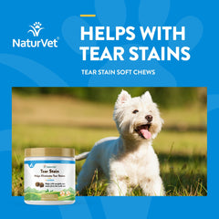 NaturVet Tear Stain Oregon grape root closeup—soothing herbal root aid.