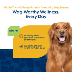 NaturVet VitaPet dog in kitchen during snack time, easy daily chew.