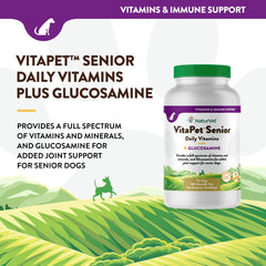 NaturVet VitaPet Senior dog chewables ready for easy daily dosing.