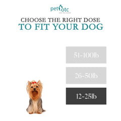 NausX easy-swallow dog pill shown for simple administration