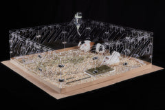NbTorch acrylic guinea pig cage 3x3ft assembly view for easy observation.