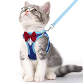 NCMAMA cat harness blue XS walk setup for secure outdoor strolls.