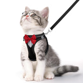 NCMAMA cat vest harness with reflective strips improves night visibility for safer evening walks.