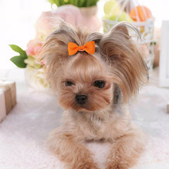 NCMAMA dog hair bows with elastic ties in bright colors for daily wear