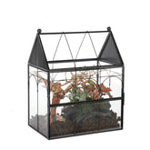 NCYP glass terrarium front door closeup for easy viewing of tiny inhabitants.