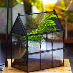 NCYP terrarium vent holes rooftop show airflow suitable for small critters.