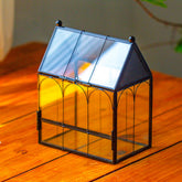 NCYP terrarium front view shows secure, decorative spider habitat