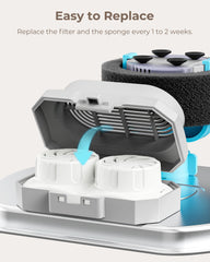 Neareal packaging 12-pack - packaging highlight and value.