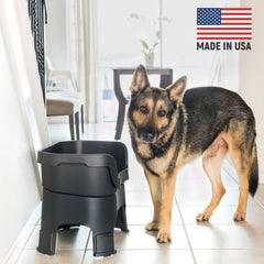 Neater Feeder Large dog elevated stand demonstrates comfortable feeding height.