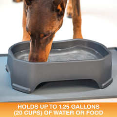 Neater Pet Brands large-capacity 1.25-gallon bowl ready for multi-pet homes.