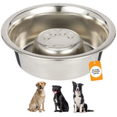 Neater Pet Brands tazón lento de acero inoxidable para comer despacio (3 tazas).