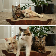 Necoichi horizontal scratcher design highlights durable, reversible usability for extended play.