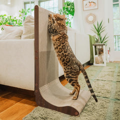 Necoichi cardboard scratcher wall assembly shows sturdy setup protects furniture and promotes natural scratching